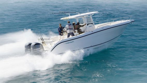 Мотор Yamaha FLAETX