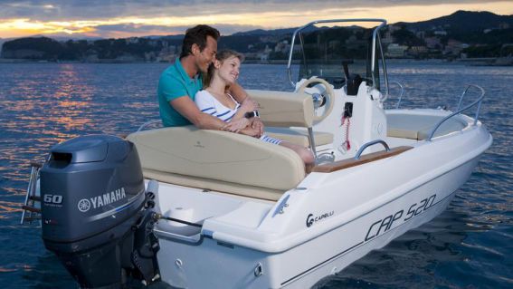 Мотор Yamaha FFETL